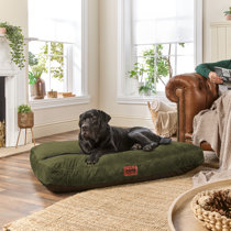 Double Dog Bed Wayfair